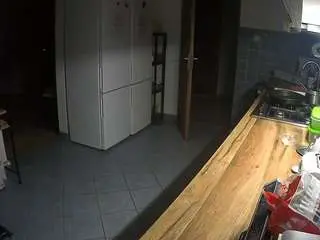 Voyeurcam-julmodels-kitchen  live sex cam