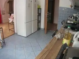 Voyeurcam-julmodels-kitchen  live sex cam