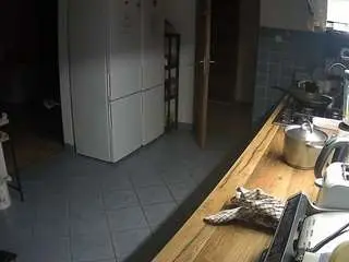 Voyeurcam-julmodels-kitchen  live sex cam