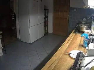 Voyeurcam-julmodels-kitchen  live sex cam