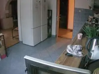 Voyeurcam-julmodels-kitchen  live sex cam