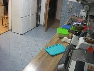 Voyeurcam-julmodels-kitchen  live sex cam