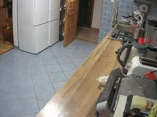 Voyeurcam-julmodels-kitchen  live sex cam