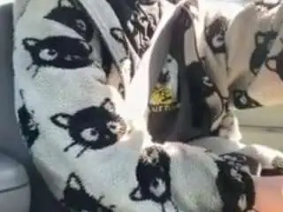 P3achypie  live sex cam