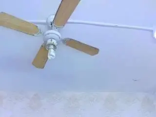 Emilyesposito  live sex cam