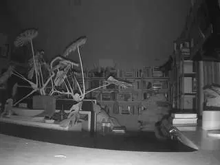 Voyeurcam-bridgetleewalters-02  live sex cam