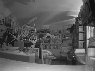 Voyeurcam-bridgetleewalters-02  live sex cam