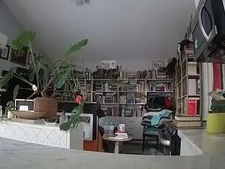 Voyeurcam-bridgetleewalters-02  live sex cam