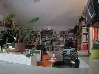 Voyeurcam-bridgetleewalters-02  live sex cam