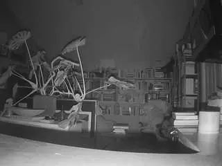 Voyeurcam-bridgetleewalters-02  live sex cam