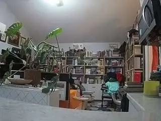 Voyeurcam-bridgetleewalters-02  live sex cam