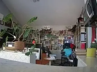 Voyeurcam-bridgetleewalters-02  live sex cam