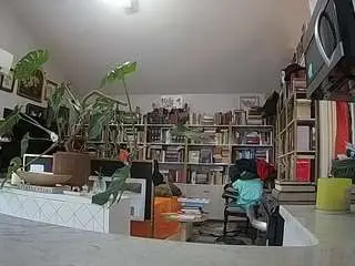 Voyeurcam-bridgetleewalters-02  live sex cam