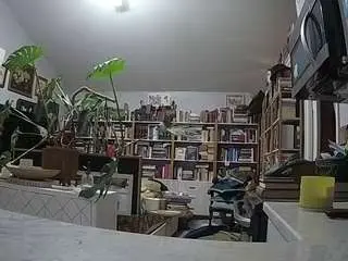 Voyeurcam-bridgetleewalters-02  live sex cam