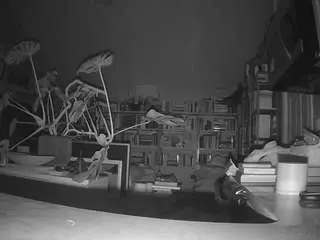 Voyeurcam-bridgetleewalters-02  live sex cam