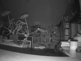 Voyeurcam-bridgetleewalters-02  live sex cam