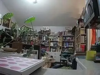 Voyeurcam-bridgetleewalters-02  live sex cam