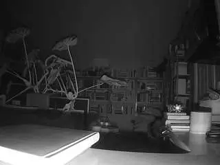 Voyeurcam-bridgetleewalters-02  live sex cam