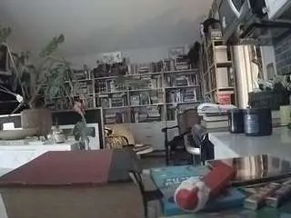 Voyeurcam-bridgetleewalters-02  live sex cam