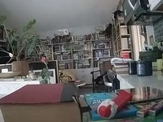 Voyeurcam-bridgetleewalters-02  live sex cam