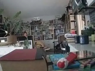 Voyeurcam-bridgetleewalters-02  live sex cam