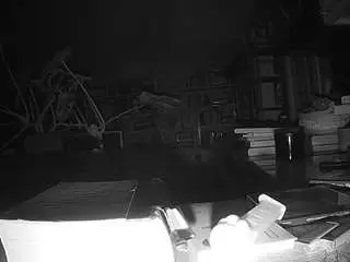 Voyeurcam-bridgetleewalters-02  live sex cam