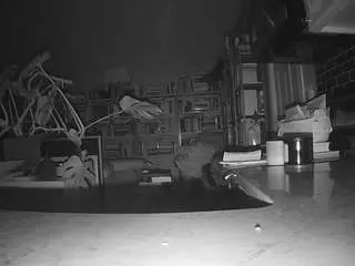 Voyeurcam-bridgetleewalters-02  live sex cam