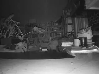 Voyeurcam-bridgetleewalters-02  live sex cam