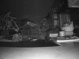 Voyeurcam-bridgetleewalters-02  live sex cam