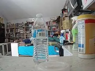 Voyeurcam-bridgetleewalters-02  live sex cam