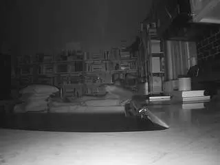 Voyeurcam-bridgetleewalters-02  live sex cam