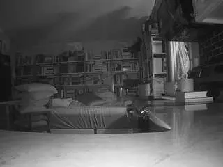 Voyeurcam-bridgetleewalters-02  live sex cam