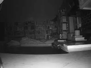 Voyeurcam-bridgetleewalters-02  live sex cam