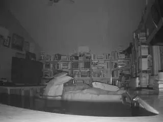 Voyeurcam-bridgetleewalters-02  live sex cam
