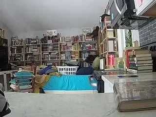 Voyeurcam-bridgetleewalters-02  live sex cam