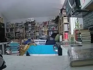 Voyeurcam-bridgetleewalters-02  live sex cam