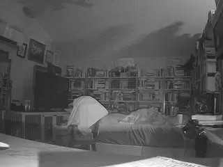 Voyeurcam-bridgetleewalters-02  live sex cam