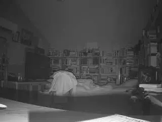 Voyeurcam-bridgetleewalters-02  live sex cam