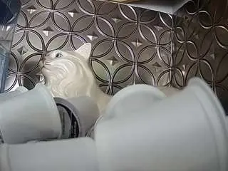 Voyeurcam-bridgetleewalters-02  live sex cam