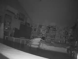 Voyeurcam-bridgetleewalters-02  live sex cam