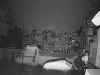 Voyeurcam-bridgetleewalters-02  live sex cam