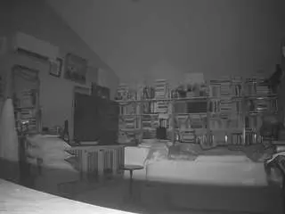 Voyeurcam-bridgetleewalters-02  live sex cam