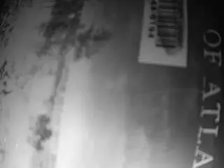 Voyeurcam-bridgetleewalters-02  live sex cam