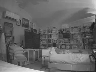 Voyeurcam-bridgetleewalters-02  live sex cam