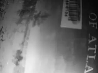 Voyeurcam-bridgetleewalters-02  live sex cam