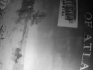 Voyeurcam-bridgetleewalters-02  live sex cam