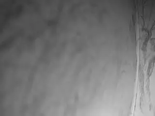 Voyeurcam-bridgetleewalters-02  live sex cam