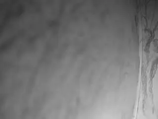 Voyeurcam-bridgetleewalters-02  live sex cam