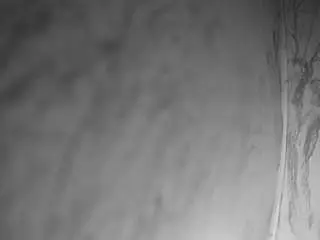 Voyeurcam-bridgetleewalters-02  live sex cam