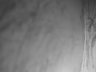 Voyeurcam-bridgetleewalters-02  live sex cam